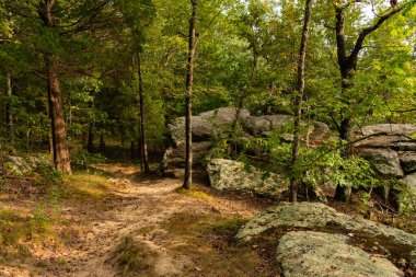 Tanrıların Bahçesi 'nde yürüyüş parkurunda. Shawnee Ulusal Ormanı, Illinois, ABD