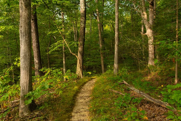 Sendero Senderismo Por Jardín Los Dioses Shawnee National Forest Illinois — Foto de Stock