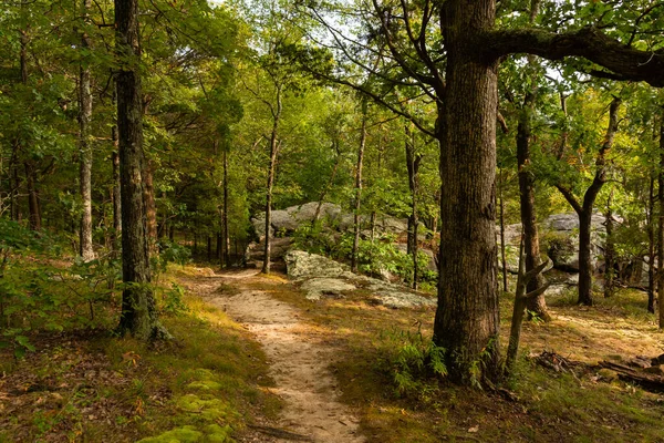 Wandelpad Door Tuin Van Goden Wildernis Shawnee National Forest Illinois — Stockfoto