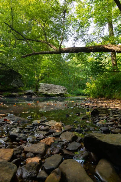 Bell Smith Springs 'teki yürüyüş yolu boyunca manzara. Shawnee Ulusal Ormanı, Illinois, ABD