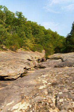 Shawnee Ulusal Ormanı 'ndaki Bell Smith Springs yürüyüş yolu boyunca manzara..