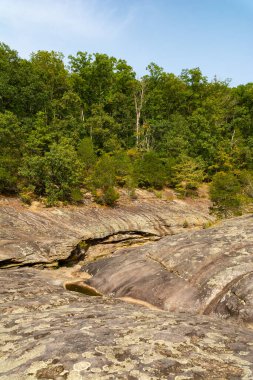 Shawnee Ulusal Ormanı 'ndaki Bell Smith Springs yürüyüş yolu boyunca manzara..