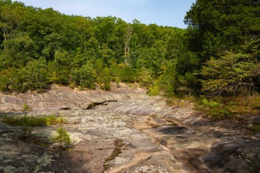 Shawnee Ulusal Ormanı 'ndaki Bell Smith Springs yürüyüş yolu boyunca manzara..