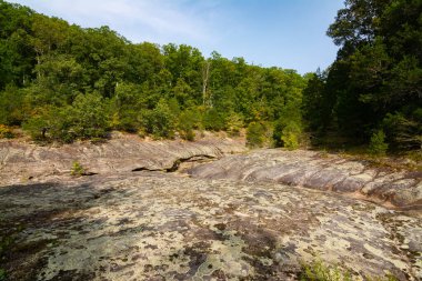 Shawnee Ulusal Ormanı 'ndaki Bell Smith Springs yürüyüş yolu boyunca manzara..