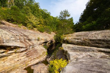 Shawnee Ulusal Ormanı 'ndaki Bell Smith Springs yürüyüş yolu boyunca manzara..