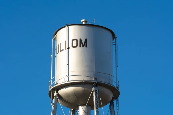 Cullom Illinois Stati Uniti Novembre 2020 Torre Dell Acqua Nella — Foto Stock