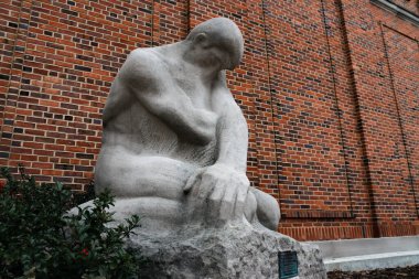 Urbana, Illinois / ABD - 29 Aralık 2020: 