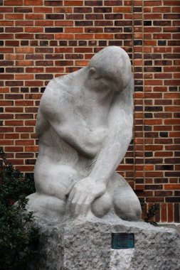 Urbana, Illinois / ABD - 29 Aralık 2020: 