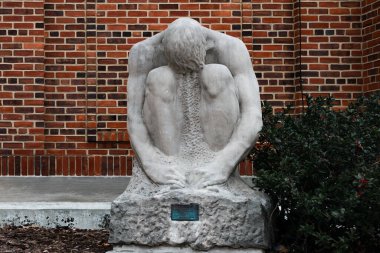 Urbana, Illinois / ABD - 29 Aralık 2020: 