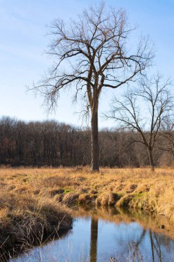Ortabatı kırsalında güzel bir sonbahar sabahı.