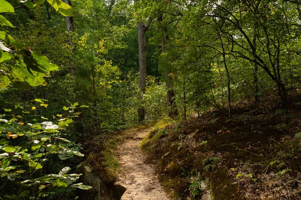 Hiking Trail Bell Smith Springs Shawnee National Forest Illinois Usa — Stock Photo, Image