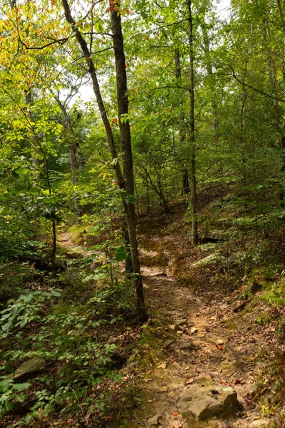 Vandringsled Bell Smith Springs Shawnee National Forest Illinois Usa — Stockfoto