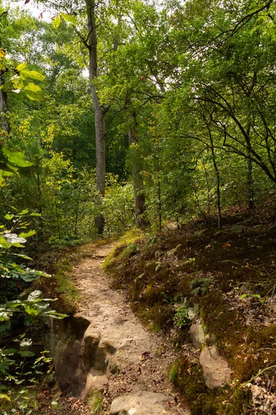 Vandringsled Bell Smith Springs Shawnee National Forest Illinois Usa — Stockfoto