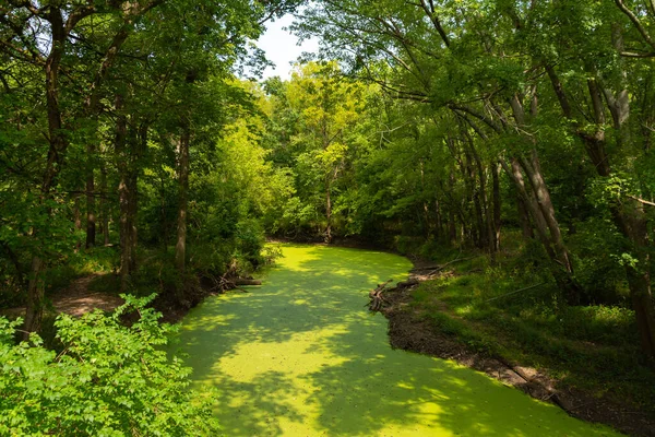 Moss Couvert Ruisseau Dans Campagne Illinois Glenarm Illinois États Unis — Photo