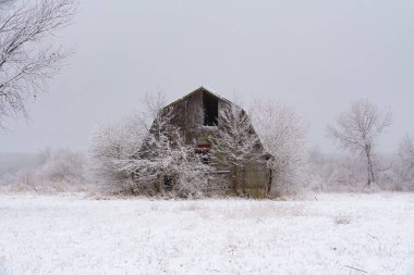 Karlı kırsalda eski ahır. LaSalle County, Illinois, ABD