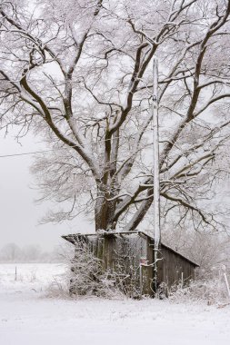 Kırsal alanda karla kaplı eski ahşap kulübe. LaSalle County, Illinois, ABD