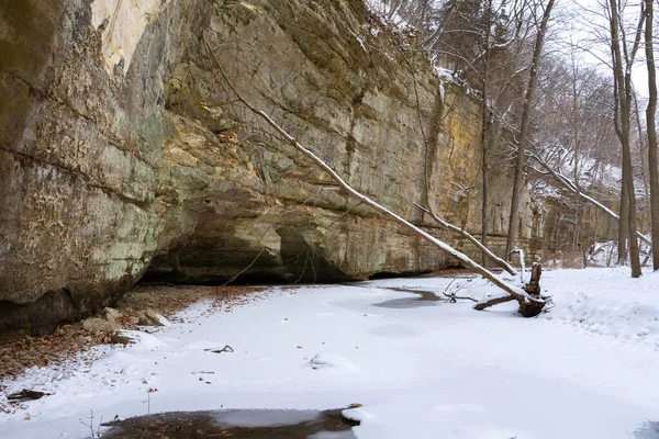 Illinois Canyon Día Nublado Invierno Starved Rock State Park Illinois —  Fotos de Stock