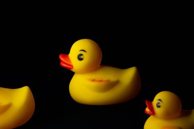 Siyah arka planı olan sarı plastik ördekler..