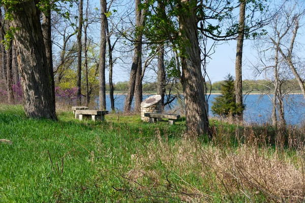 Miejsce Siedzenia Lesie Piękny Wiosenny Poranek Sue Wes Dixon Waterfowl — Zdjęcie stockowe