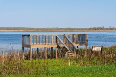 Göl kıyısındaki platforma bakıyorum. Sue ve Wes Dixon Waterfowl Refuge, Illinois, ABD