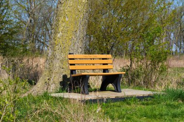 Parkta bankta güzel bir bahar sabahı.