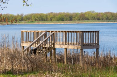 Göl kıyısındaki platforma bakıyorum. Sue ve Wes Dixon Waterfowl Refuge, Illinois, ABD