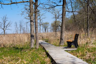 Güzel bir bahar sabahı ahşap patika boyunca uzanan bankta. Dixon Waterfowl Refuge, Illinois, ABD