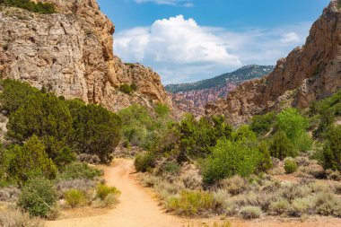 Spring Creek Kanyonu 'nda yürüyüş parkurunda. Kanarraville, Utah, ABD