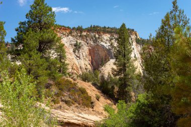 Utah 'taki Zion Ulusal Parkı' nın doğu ucunda güzel bir manzara..