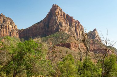 Güzel bir yaz öğleden sonrasında Zion Ulusal Parkı 'nda çöl manzarası..