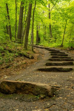 Wisconsin, Devil 's Lake' deki Doğu Kayalık Yolu 'na giden taş patika..