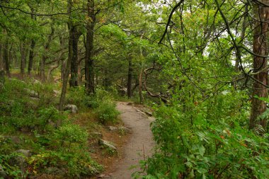 Doğu Kayalıkları 'nda yürüyüş parkurunda. Devil 's Lake State Park, Wisconsin, ABD