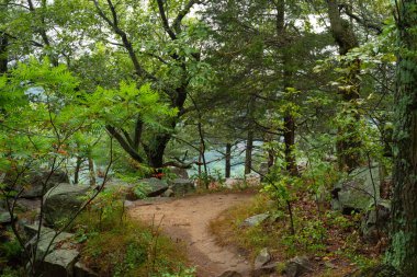 Doğu Kayalıkları 'nda yürüyüş parkurunda. Devil 's Lake State Park, Wisconsin, ABD