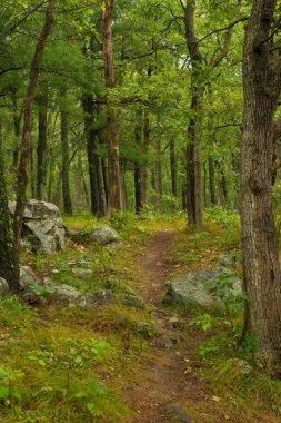 Doğu Kayalıkları 'nda yürüyüş parkurunda. Devil 's Lake State Park, Wisconsin, ABD