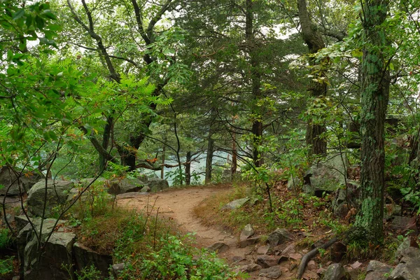 Wandelpad East Bluff Devil Lake State Park Wisconsin Verenigde Staten — Stockfoto