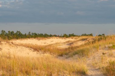 Ludington Eyalet Parkı 'ndaki kum tepeleri, Ludington, Michigan, ABD.