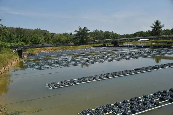 image of a floating basket for keeping live soft shell crab in water in thailand