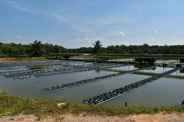 image of a floating basket for keeping live soft shell crab in water in thailand