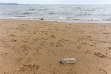 Plastik şişe sahilde