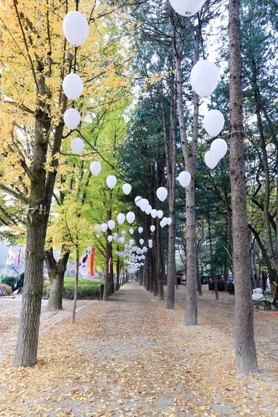 Namiseom island in autumn — Stock Photo, Image