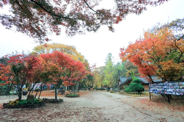 Güz Namiseom Adası