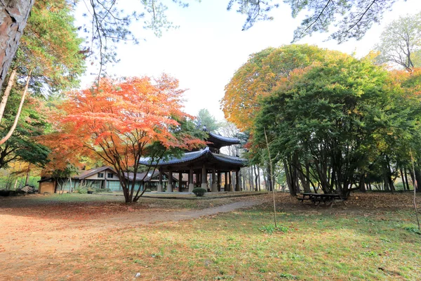 Güz Namiseom Adası