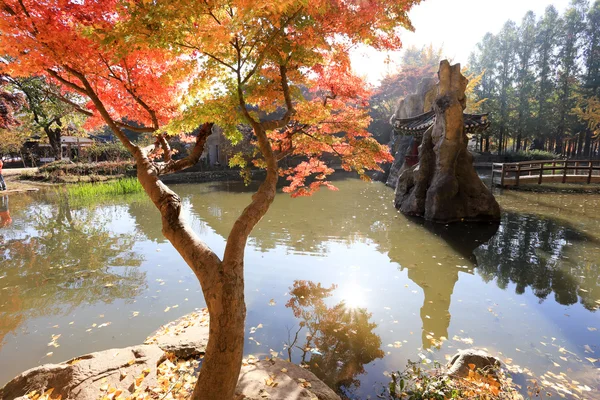 在秋天的 Namiseom 岛 — 图库照片