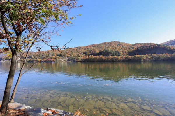 Isola di Namiseom in autunno — Foto Stock