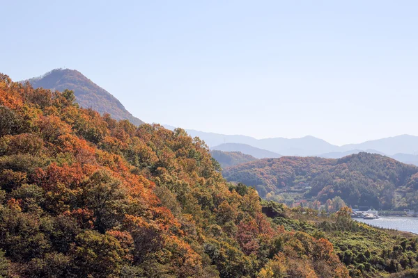 Гірський осінній пейзаж — стокове фото