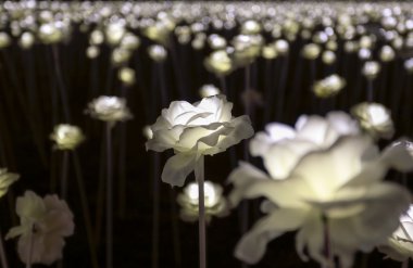 LED Çiçek Bahçesi