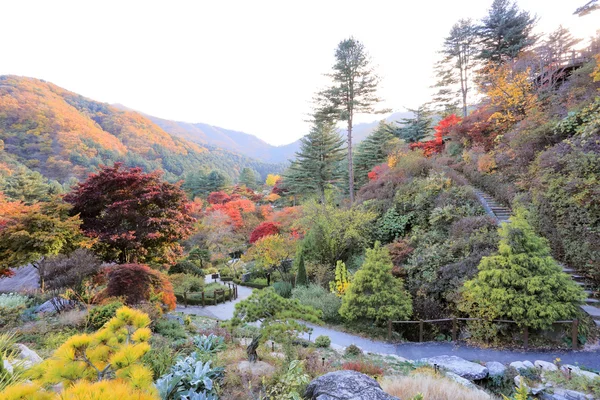 The Garden of Morning Calm — Stock Photo, Image