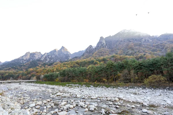 Seoraksan National Park — Stock Photo, Image