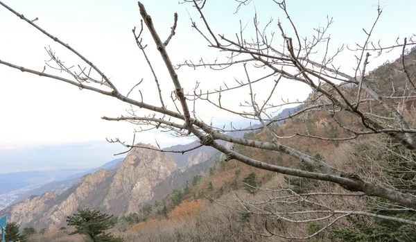 雪岳山国立公園 — ストック写真