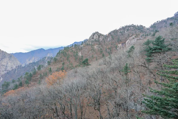 Seoraksan 国家公园 — 图库照片